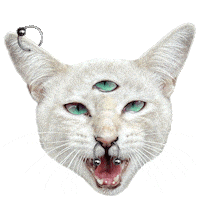 Cat Piercing Sticker by Felipe Villarreal