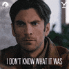 Paramount Network Idk GIF by Yellowstone