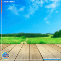 GIF by Viral Amplifier