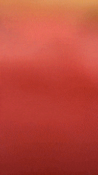 Cookierun GIF by Youtooz