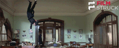 julie andrews falling GIF by FilmStruck