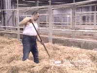 Man Working Hard GIF by Texas Archive of the Moving Image