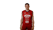 Liga Endesa Basketball Sticker by ACB