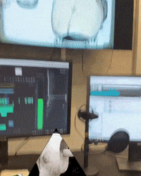 Lab Onf GIF by Alex Boya
