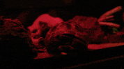 season 3 netflix GIF by Stranger Things