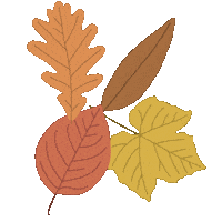 Pumpkin Patch Halloween Sticker