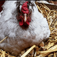 Mom Trending GIF