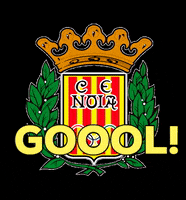 CENoia hockey hoquei noia freixenet GIF