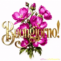 Italian Gentilezza GIF by TresorsDuMonde.ca