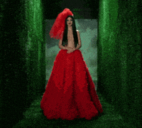 Come La Fiesta GIF