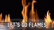 Calgary Flames Sport GIF by Sealed With A GIF