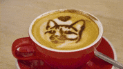 Cat Cafe GIF by Wired Productions