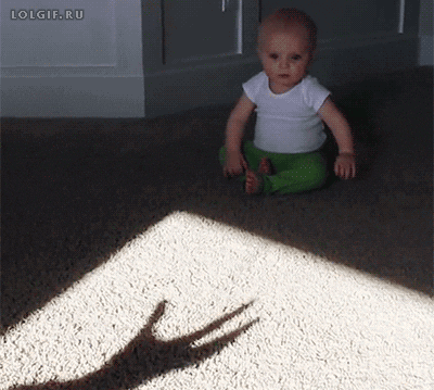 GIF by Demic