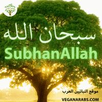 الله GIF by VeganArabs