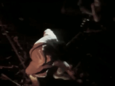 angus young GIF