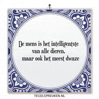 Humor Wijsheid GIF by Tegelspreuken.nl