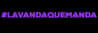 Lavandasv band lavanda lavandaquemanda lavandasv GIF