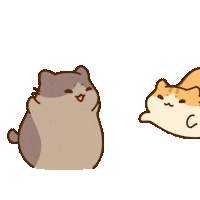 BichiMao cat bichimao couplememes Sticker