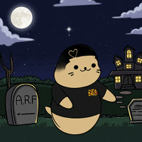 1 Of 1 Love GIF by Sappy Seals Community