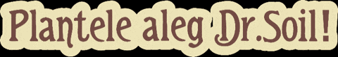 Plantelealegdrsoil GIF by Dr.Soil