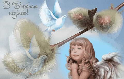 yaroslavastrutsynska giphyupload GIF