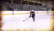 happy ice hockey GIF by Robert Morris University Athletics