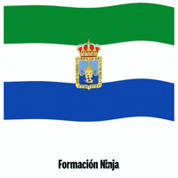 Flag Spain GIF by Formación Ninja