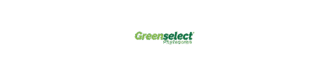 Green Sticker by Florien Fitoativos