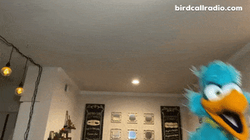 Run Im Late GIF