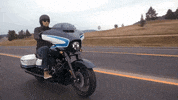 Ride GIF by Harley-Davidson