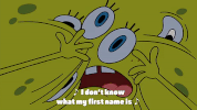 season 10 episode 3 GIF by SpongeBob SquarePants