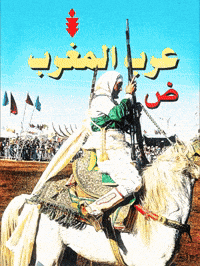 Saudi Arabia Horse GIF