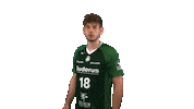Swipe Up Handball-Bundesliga Sticker by HSG Wetzlar