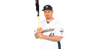Baseball Swing Sticker by York Revolution