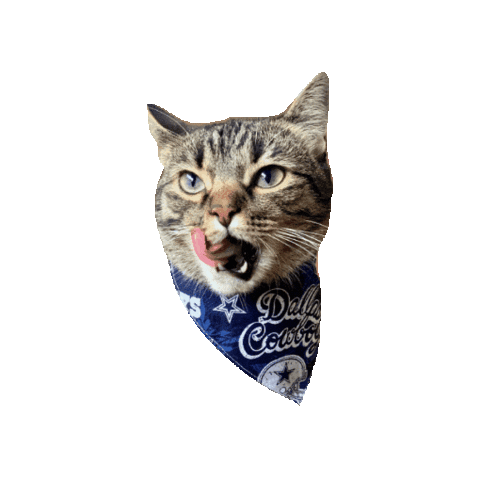 Dallas Cowboys Melon Sticker by Geekster Pets