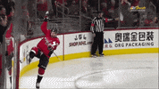 Winning Ice Hockey GIF by Capitals