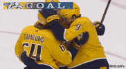 Celebrate Ice Hockey GIF by NHL