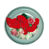 Hang In There Cooking Sticker by Anja Kotar