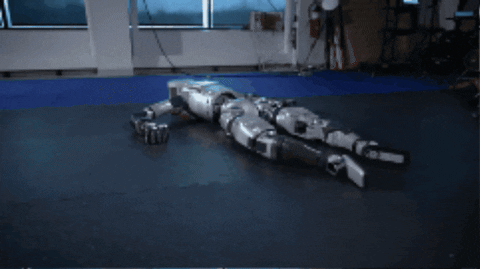 dcs345 giphygifmaker GIF