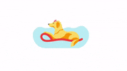 tashirokova dog summer water holiday GIF
