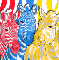 Abidoe animals pride adidas africa GIF