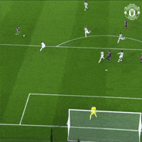 Save Man Utd GIF by Manchester United