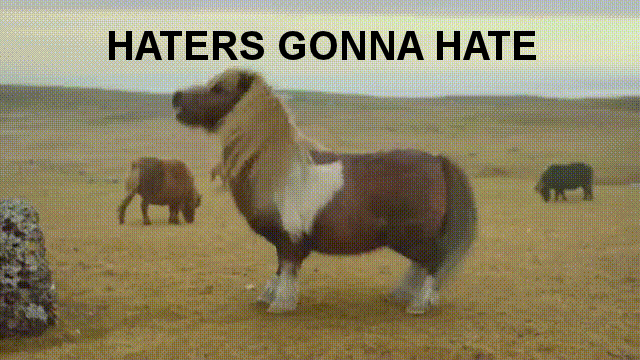 Pony Haters GIF