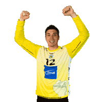 Handball Goalkeeper Sticker by SV Salamander Kornwestheim