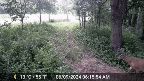 MOhunting giphyupload GIF