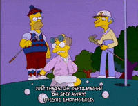 homer simpson gold GIF