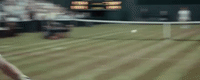 borg vs. mcenroe GIF by TIFF