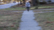 Cham GIF