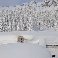 'Quiet After the Storm': Italian Mountain Landscape Blanketed in White After Record Snowfall