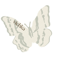 Butterfly Mariposa Sticker by Vichka